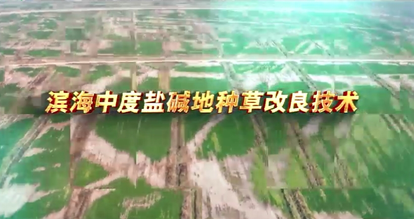 納茉農場引進農科院鹽堿改良技術